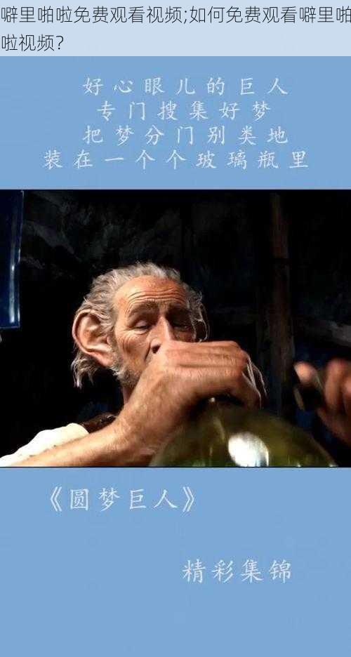 噼里啪啦免费观看视频;如何免费观看噼里啪啦视频？