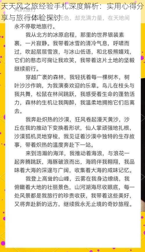 天天风之旅经验手札深度解析：实用心得分享与旅行体验探讨