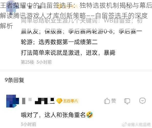 王者荣耀中的自留签选手：独特选拔机制揭秘与幕后解读腾讯游戏人才库创新策略——自留签选手的深度解析