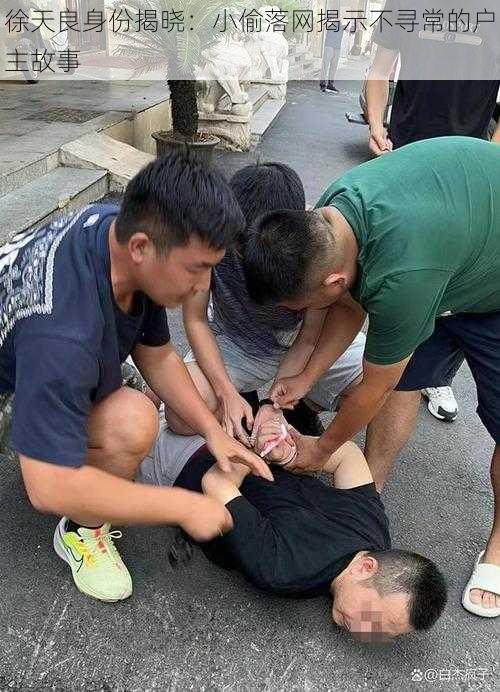 徐天良身份揭晓：小偷落网揭示不寻常的户主故事