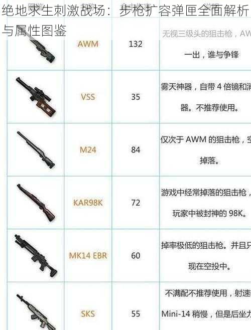 绝地求生刺激战场：步枪扩容弹匣全面解析与属性图鉴