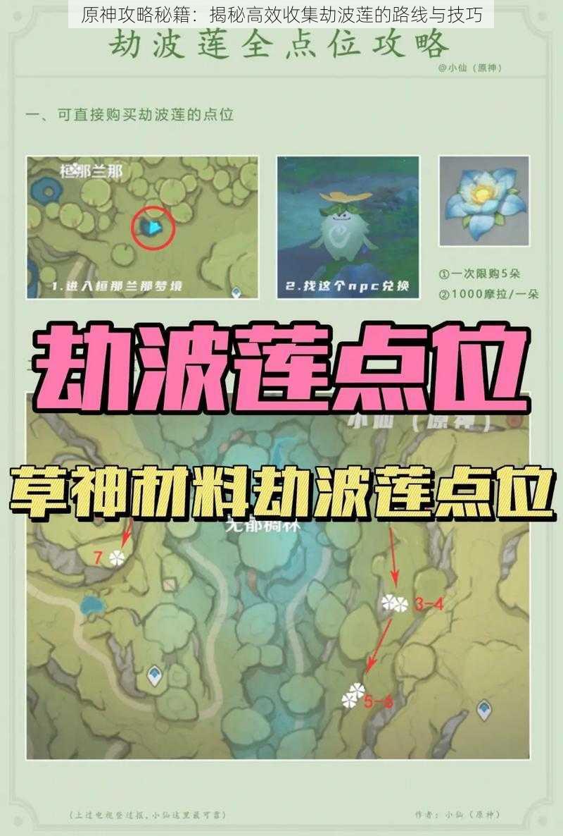 原神攻略秘籍：揭秘高效收集劫波莲的路线与技巧